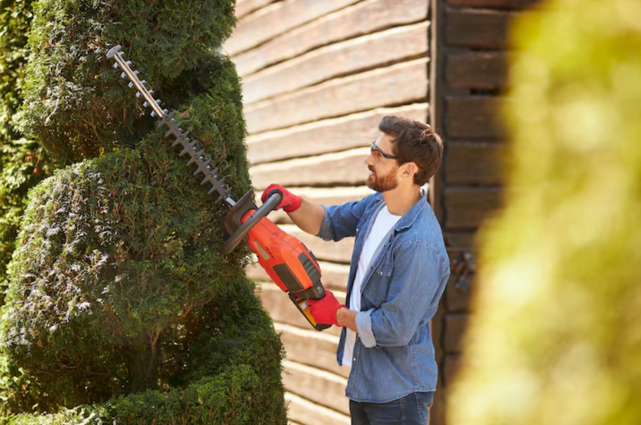 Hedge trimming service in melton