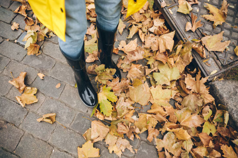 Gutter cleaning Services melton west