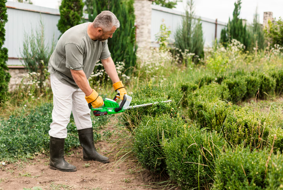 Lawn Care & Gardening Solutions in Altona Meadows