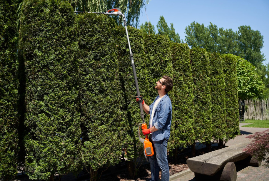 Hedge Trimming Service in Melton
