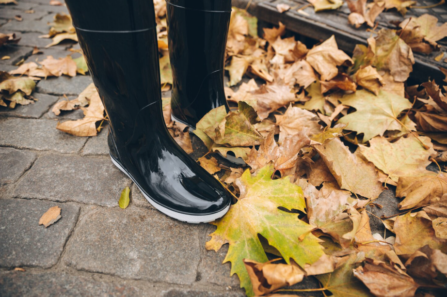 Gutter Cleaning Services in Melton