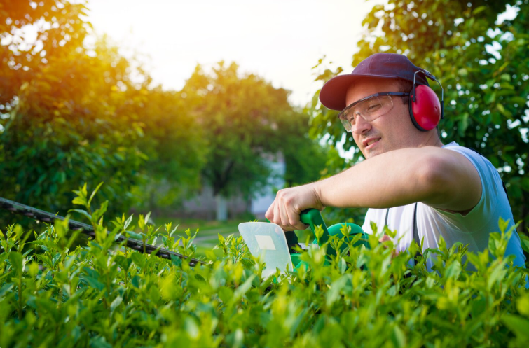 Garden Maintenance in Sunshine