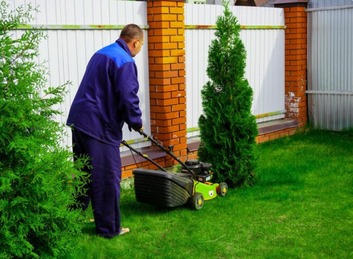 Garden Services in Kings Park