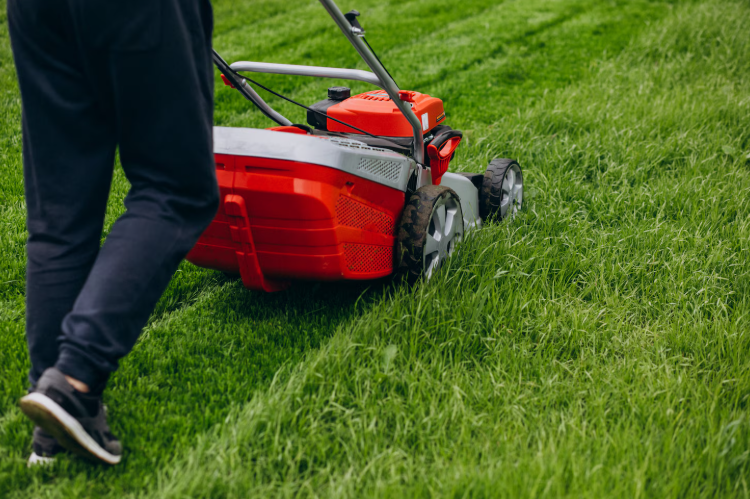 Lawn Mowing