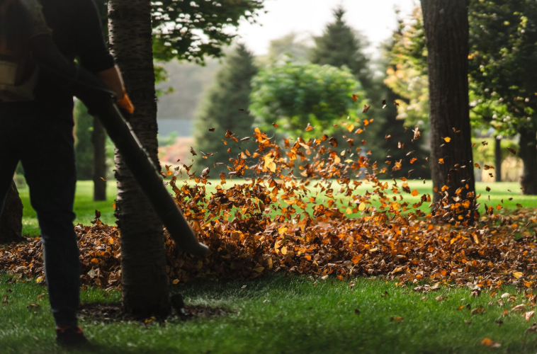 Garden Clean-Up