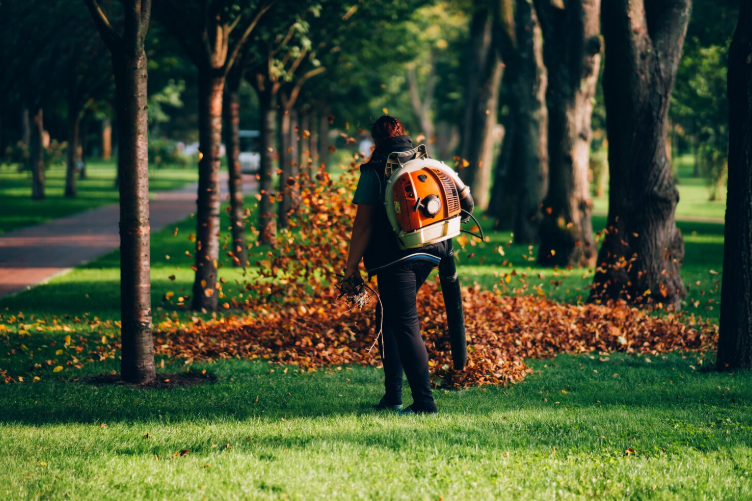Garden Maintenance Services in Melbourne