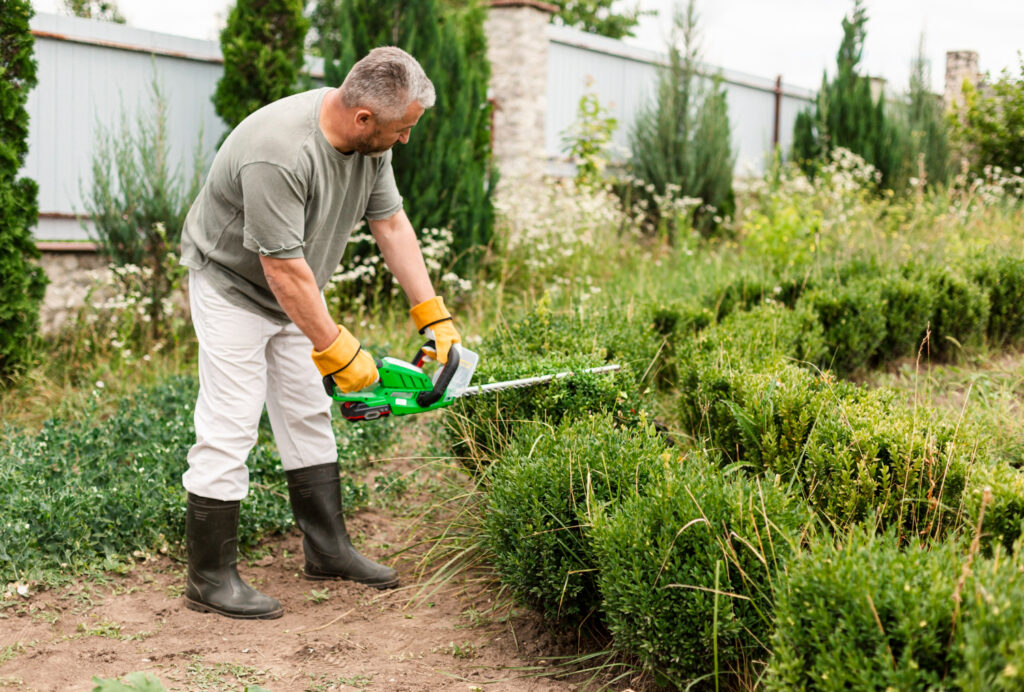 Lawn & Garden Services in St Albans
