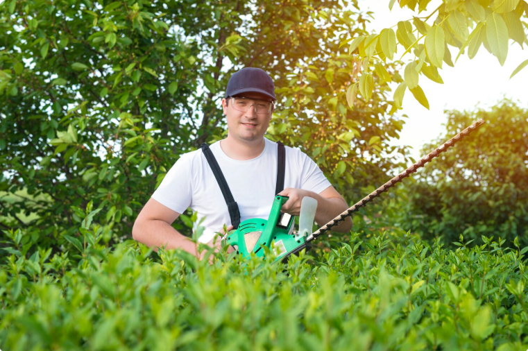 garden maintenance services